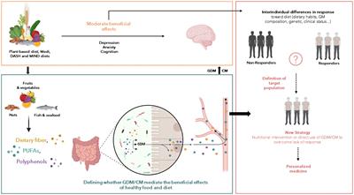 The gut-derived metabolites as mediators of the effect of healthy nutrition on the brain